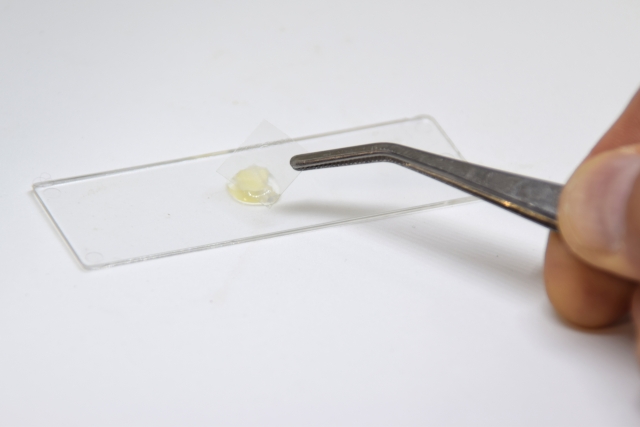 実験・試験ガラス